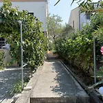 Bozena * Ζαντάρ